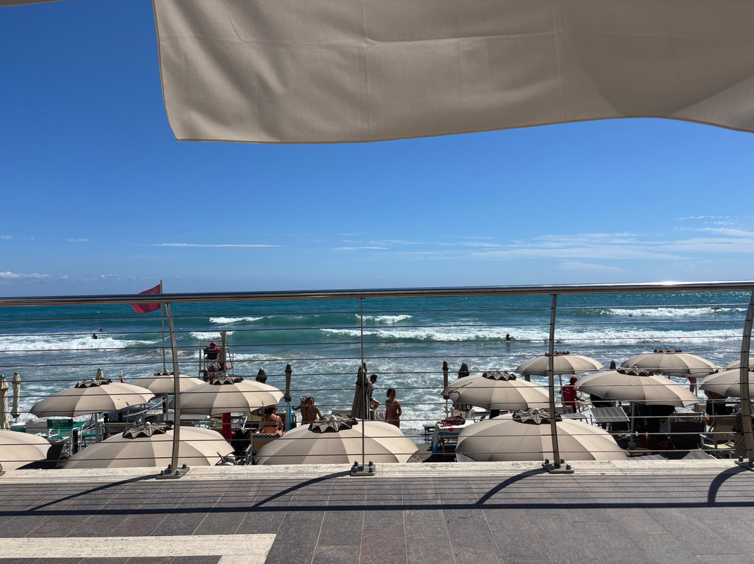 Bar La Risacca