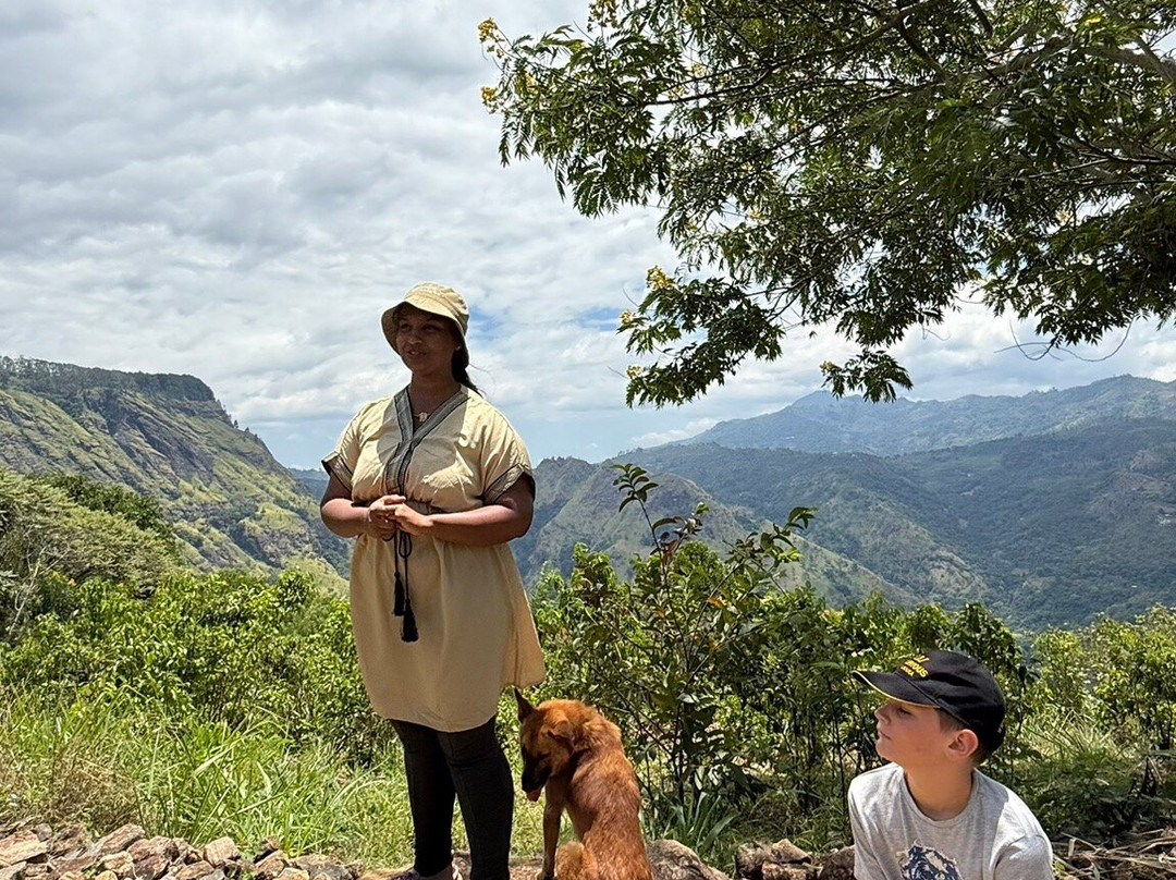 Amba Estate-班达拉维拉必去景点