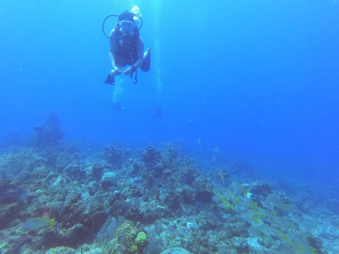 Aqua TCI-普罗维登西亚莱斯必去景点