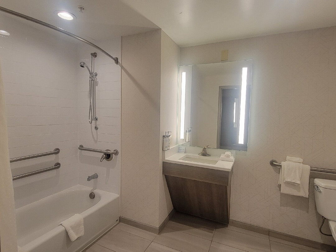 纽贝里快捷假日及套房酒店主图