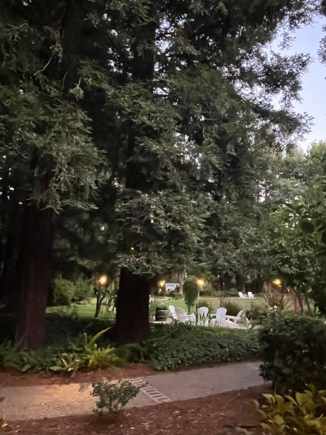 查理帕尔默哈维斯特酒店-浴室