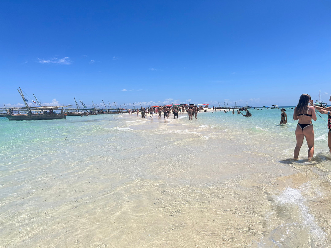 Jumanji Private Tours Zanzibar-Kidoti必去景点