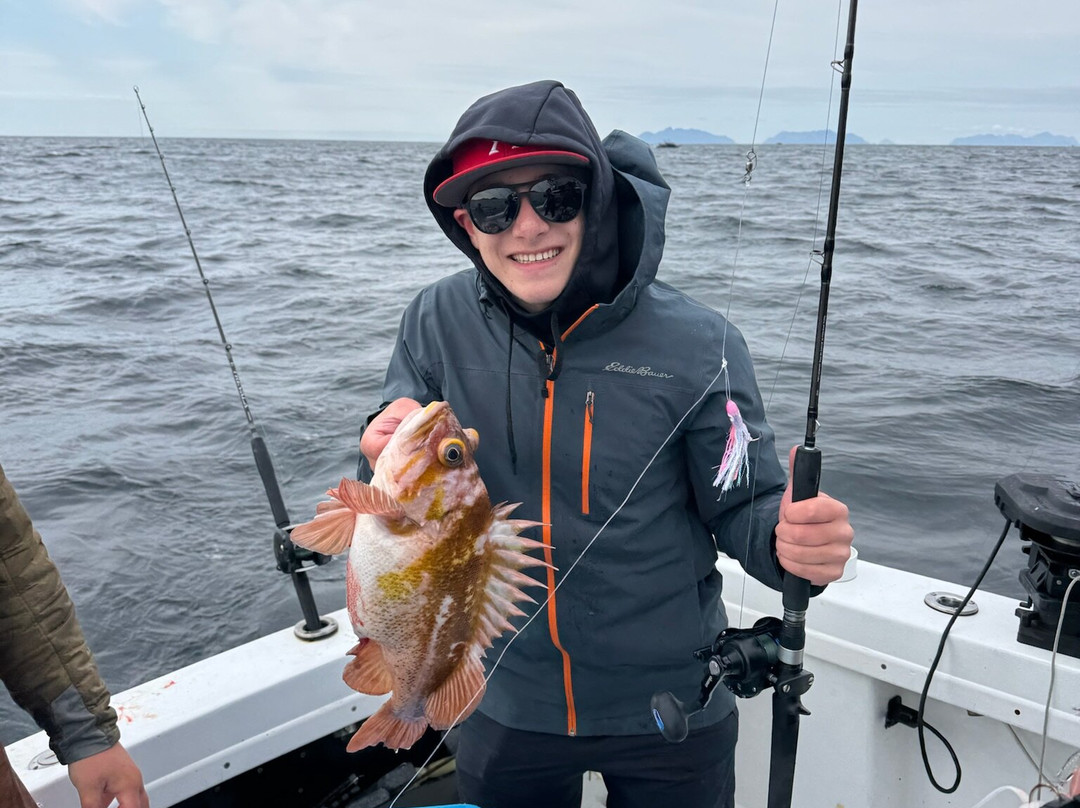 Blount Adventure Cruises-荷马必去景点