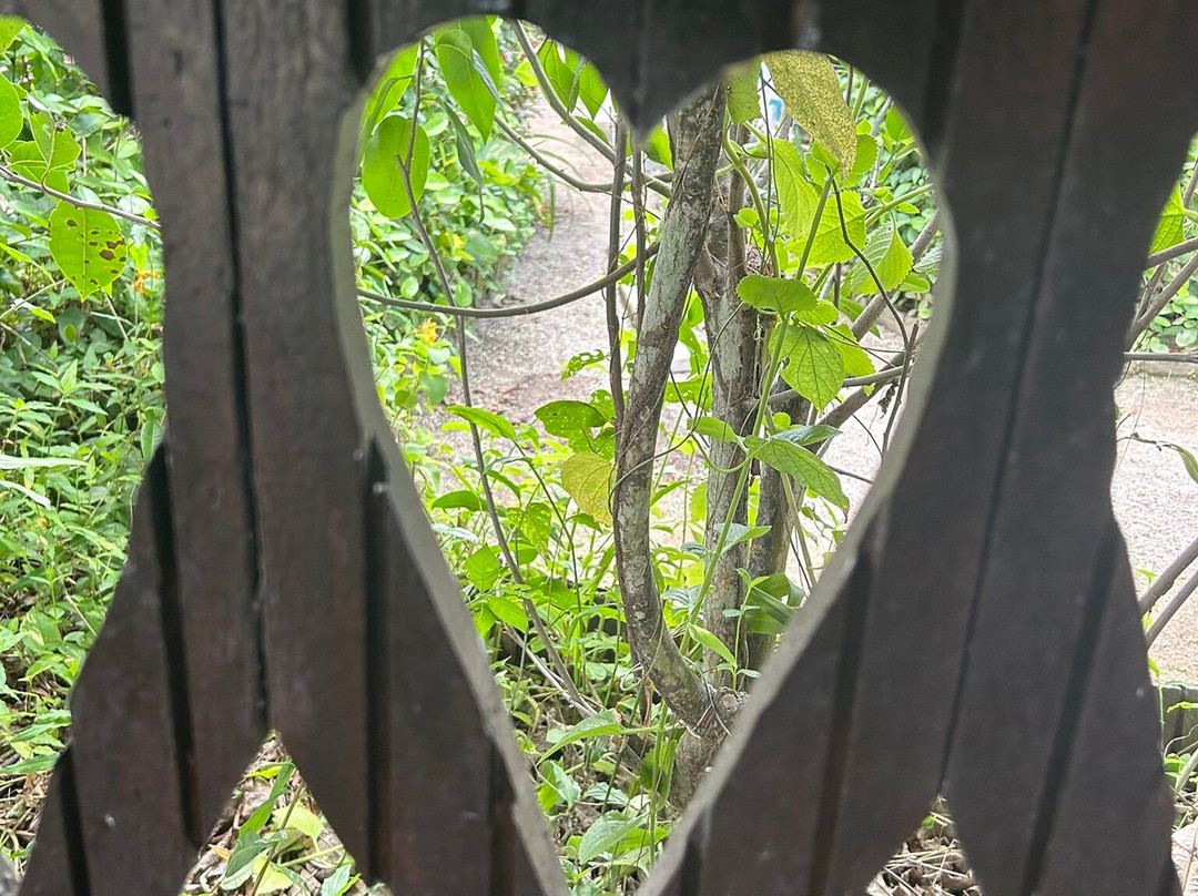 Museum Bakkie-Reynsdorp必去景点