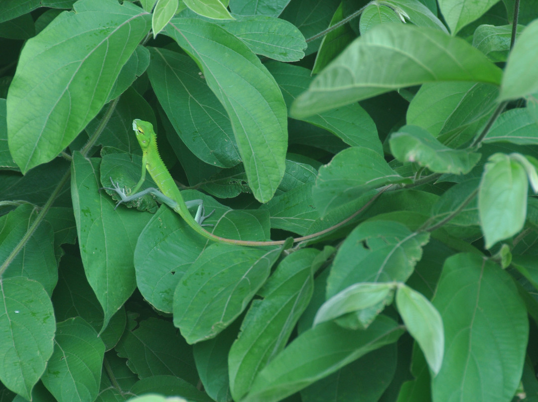 SLRIDE.COM-奴娃拉伊利雅必去景点