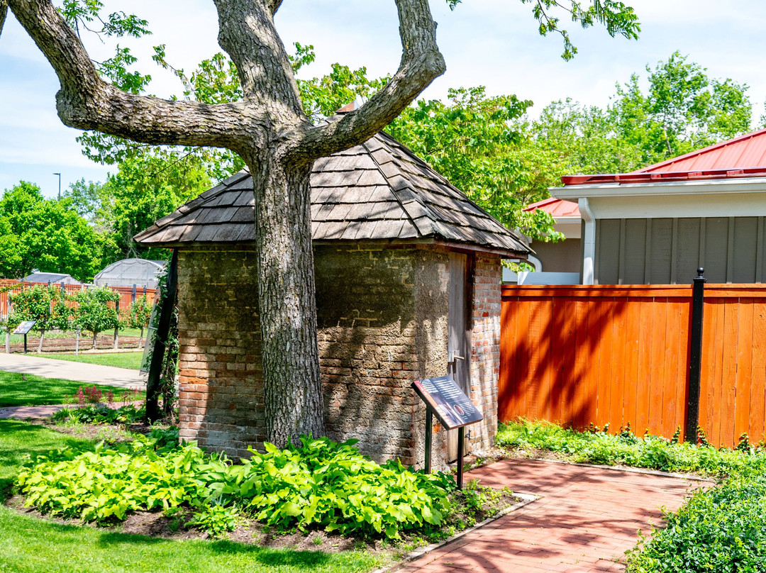 Peel Museum & Botanical Garden-本顿维尔必去景点