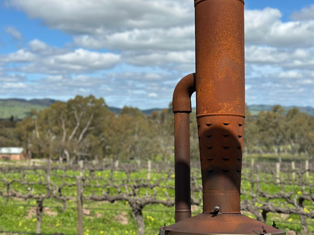 David Franz Wines-塔努达必去景点