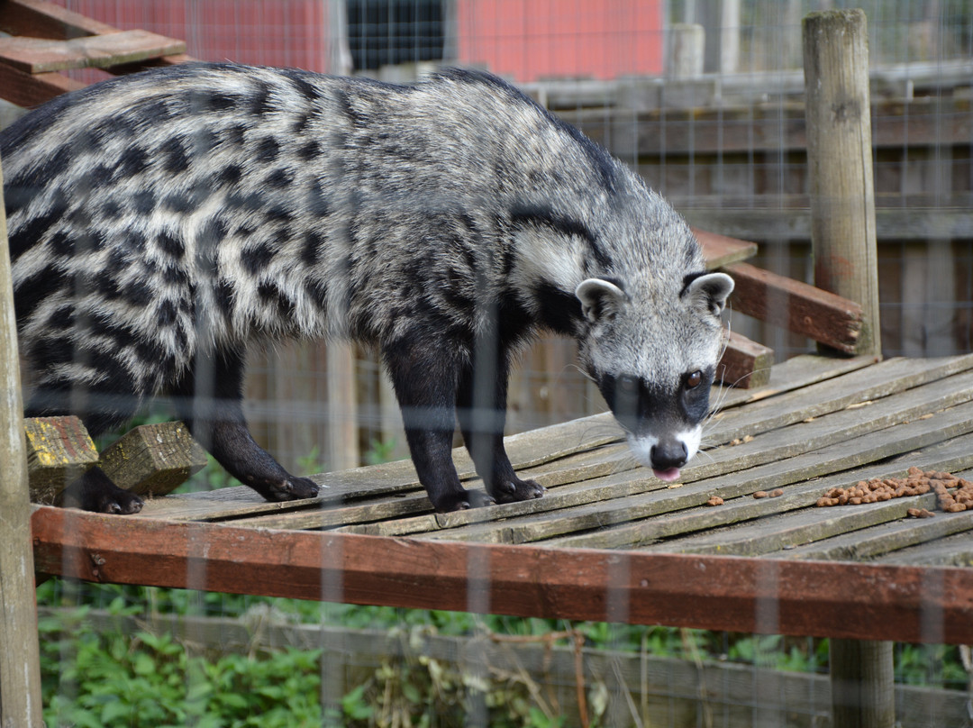 Ark Wildlife Park & Exotic Animal Sanctuary-Stickney必去景点