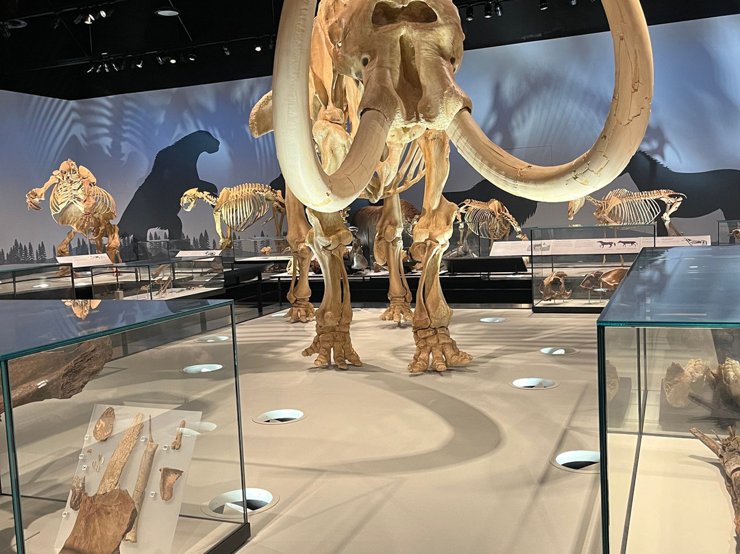 艾伯塔皇家博物馆-埃德蒙顿必去景点