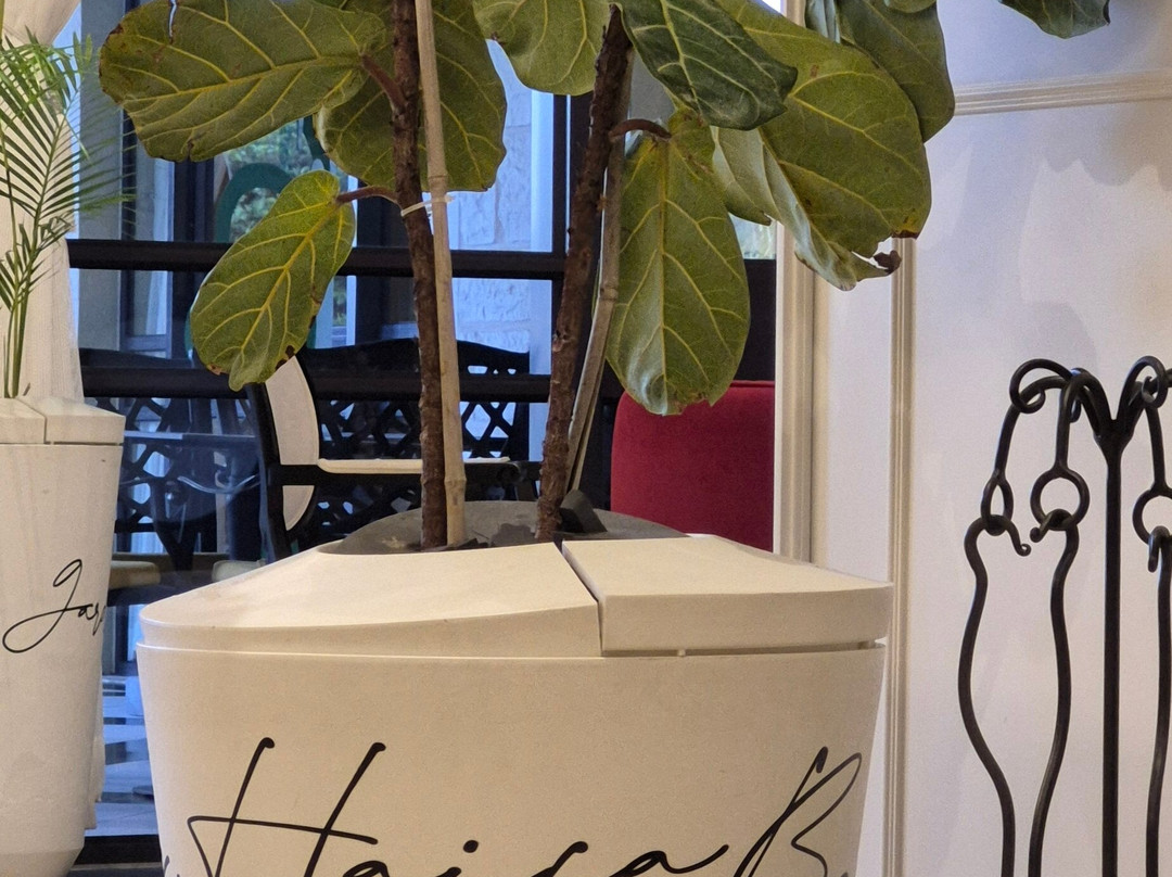 Botanica Haifa主图