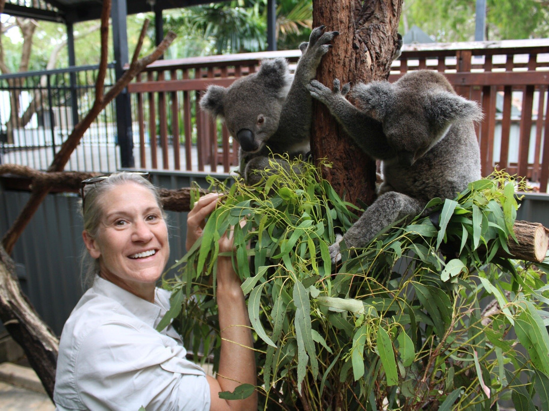 汉密尔顿岛野生动物世界-汉密尔顿岛必去景点