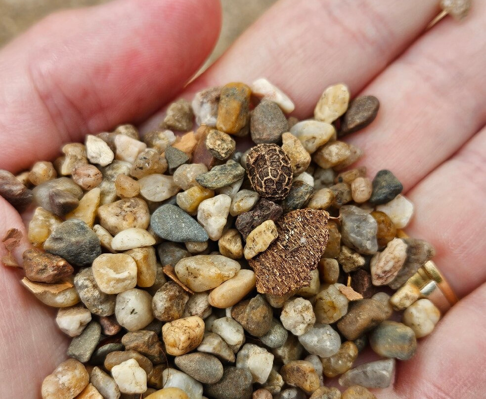 Jardim Da Estrela Park-里斯本必去景点