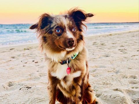 Alouette Beach Resort主图