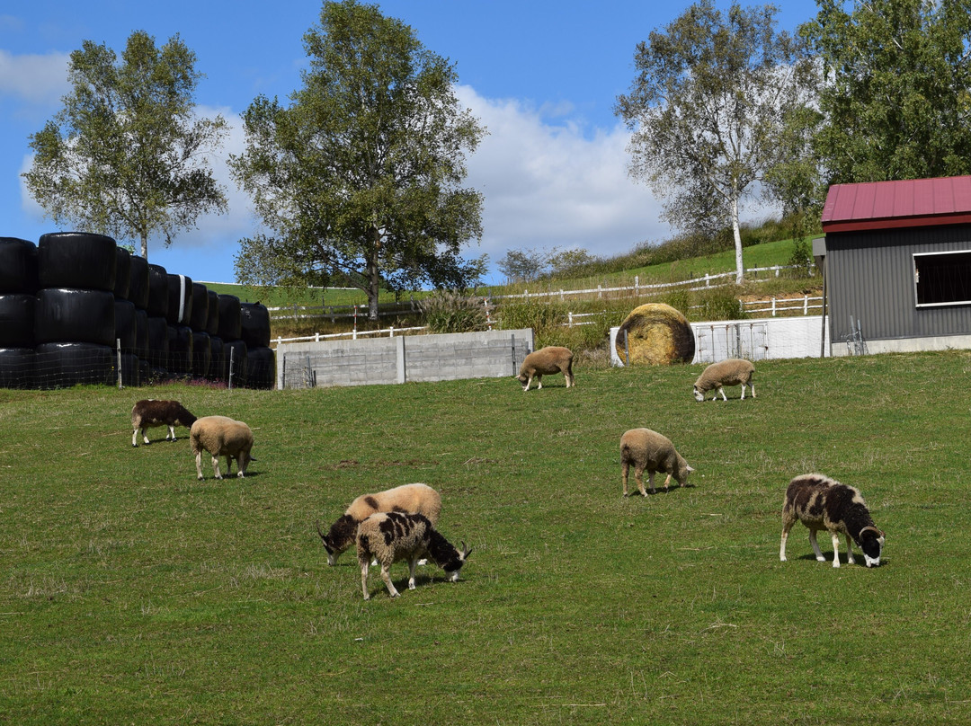 Suffolk Land Shibetsu