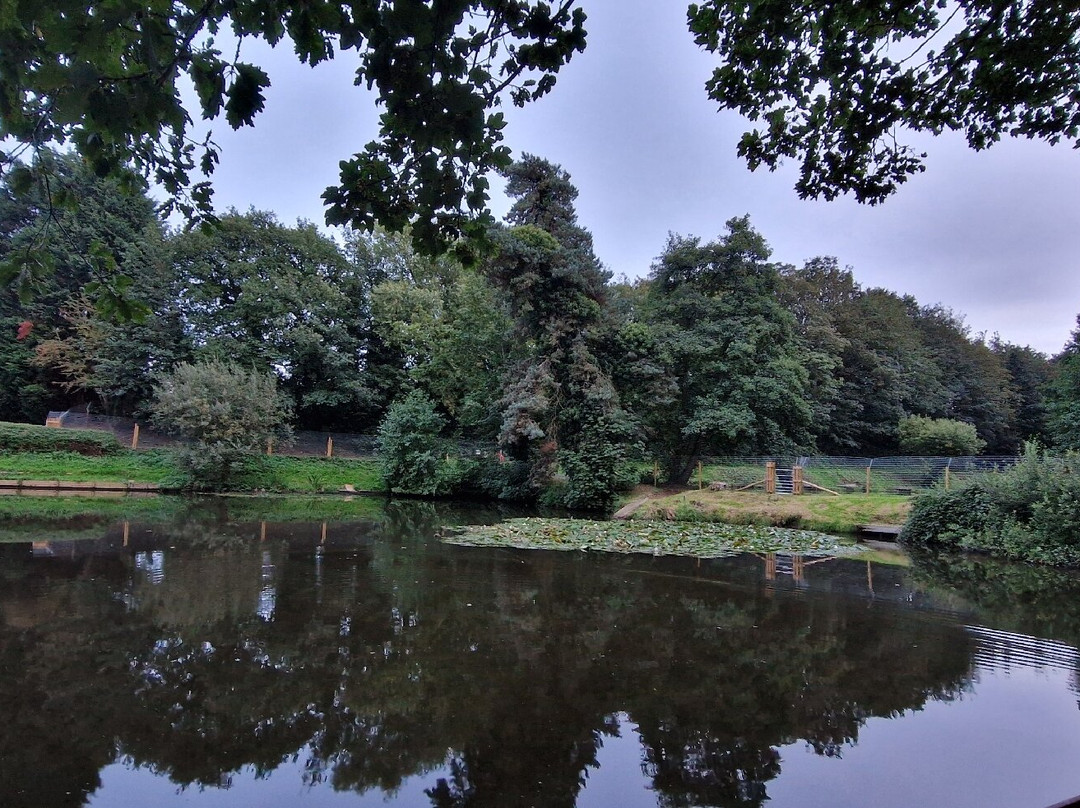 Woodlands Fishery, and Touring Park-Spilsby必去景点