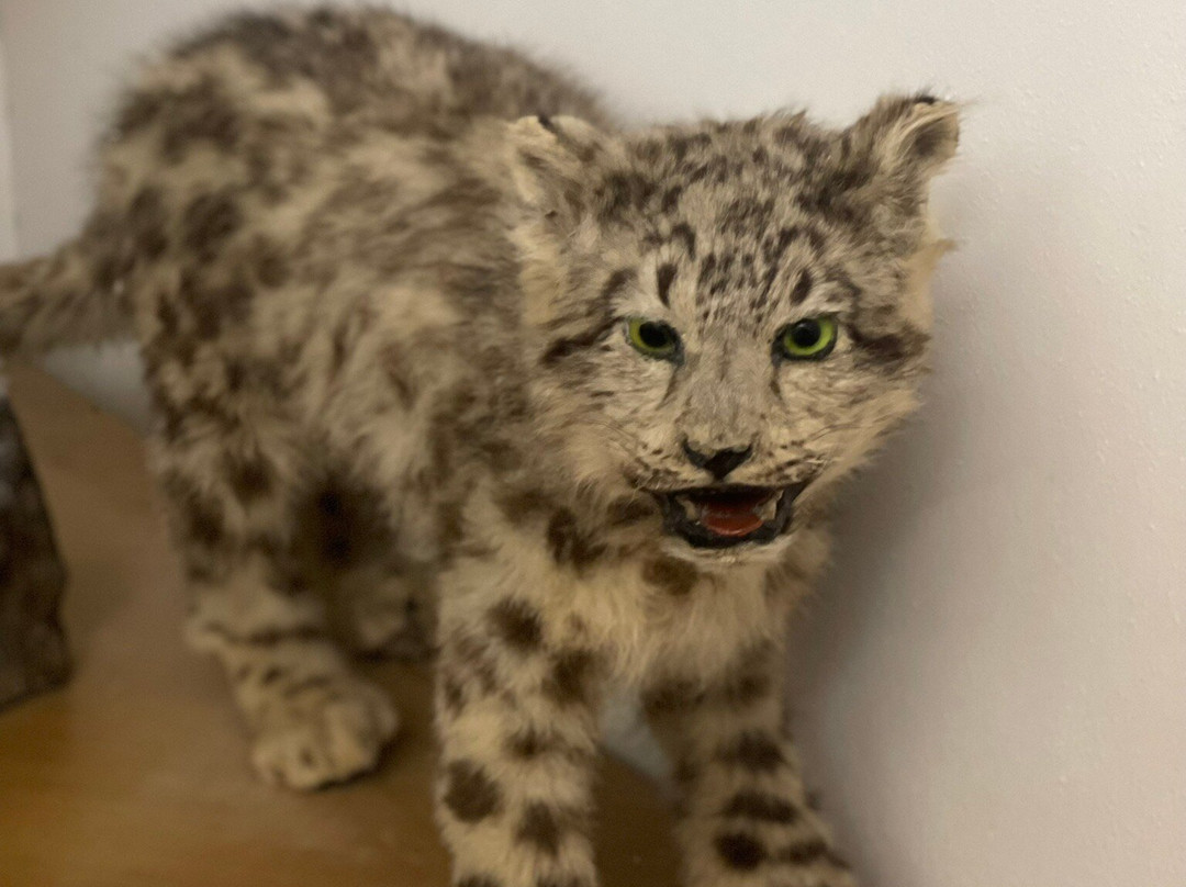 Museo di Storia Naturale Faraggiana Ferrandi-诺瓦拉必去景点