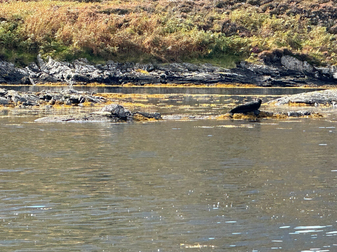 Kylesku Boat Tours-Kylesku必去景点