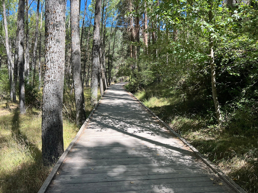 Nacimiento Del Rio Cuervo-Vega del Codorno必去景点