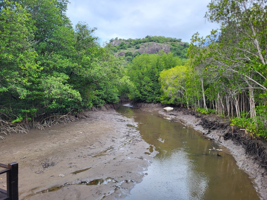 Sea-cret Cruises-蓬武里必去景点