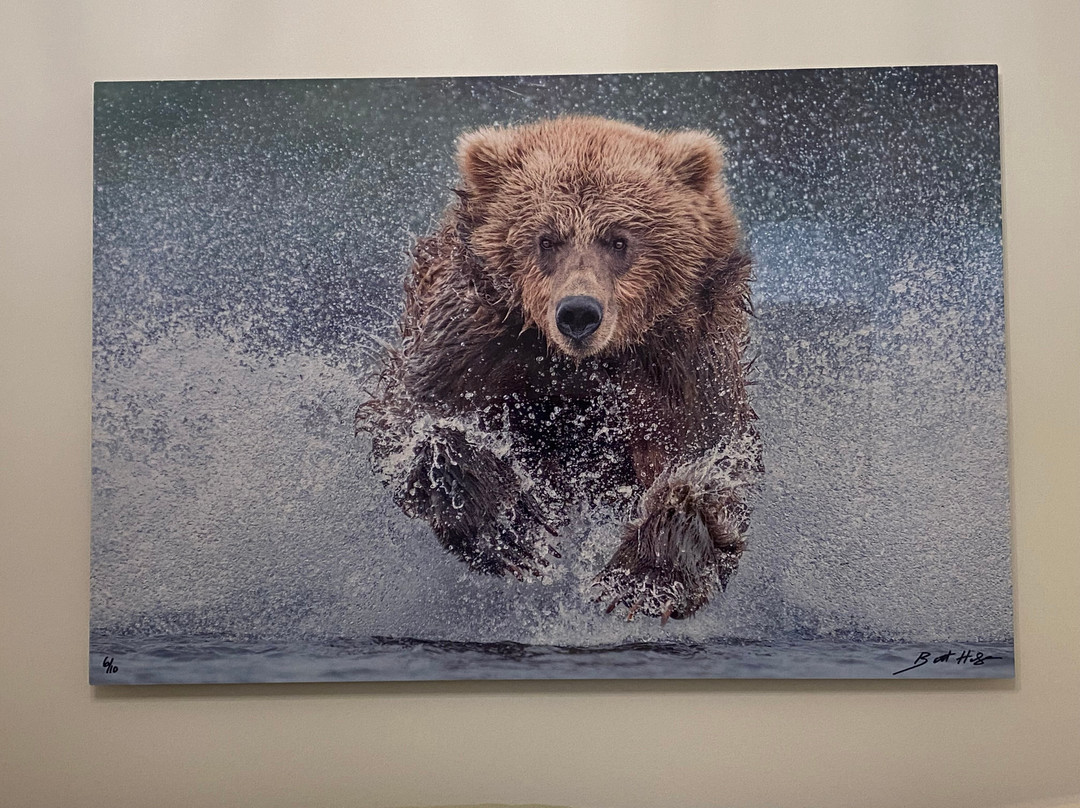 BearHead Photography Gallery-史凯威必去景点