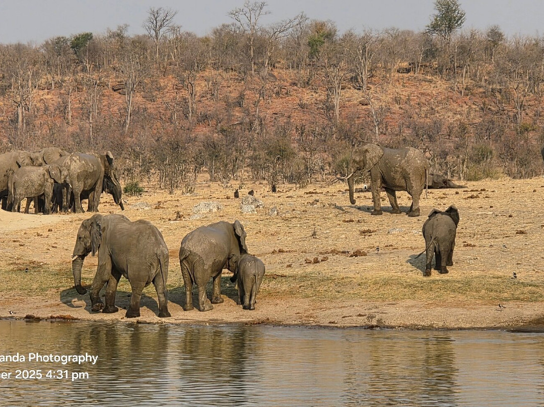 Hwange National Park-万基国家公园必去景点