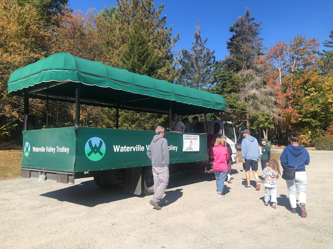 Black Bear Lodge主图