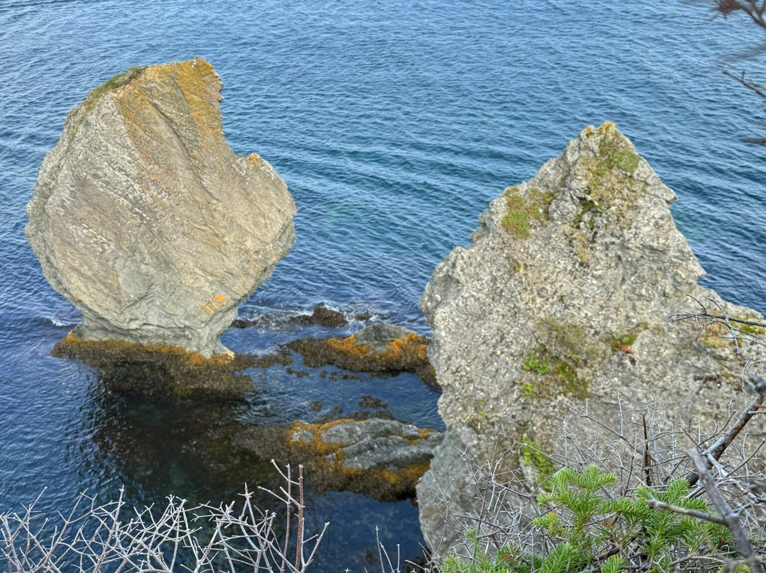Skerwink Trail-Port Rexton必去景点
