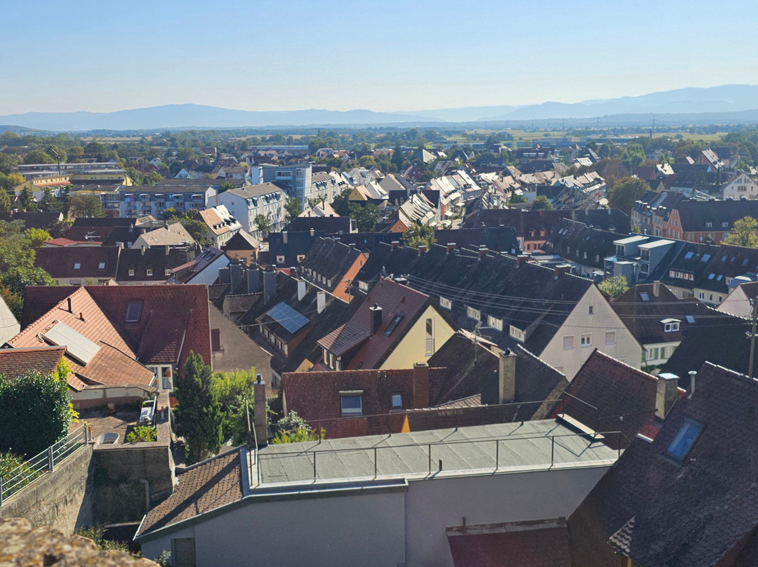 Breisacher Fahrradverleih-Breisach am Rhein必去景点
