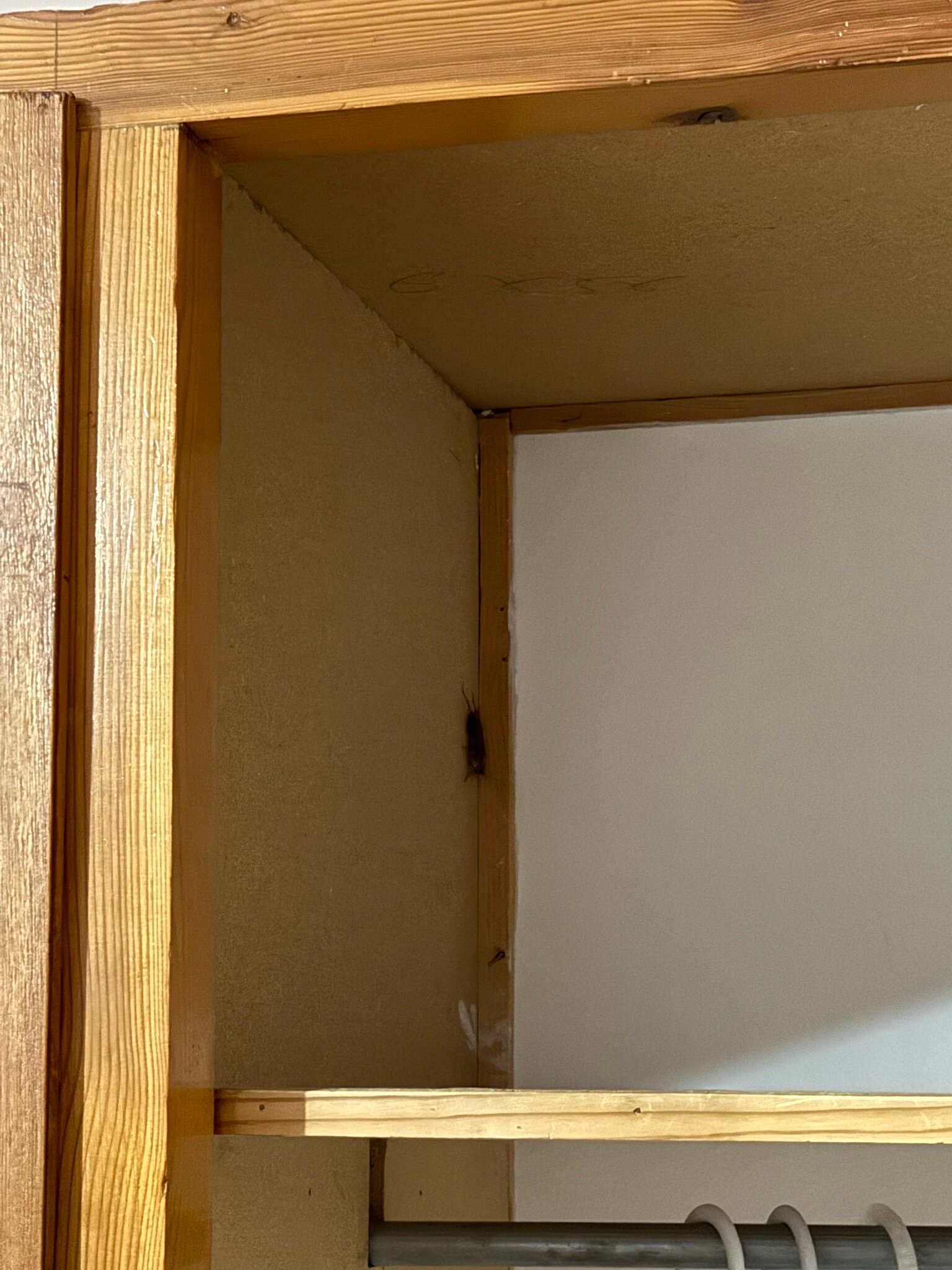 Kaikas Studios-官方