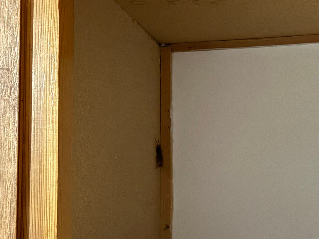 Kaikas Studios主图