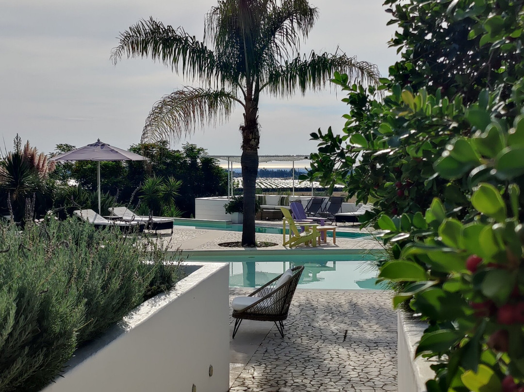 马塞里亚托雷菲奥雷酒店主图