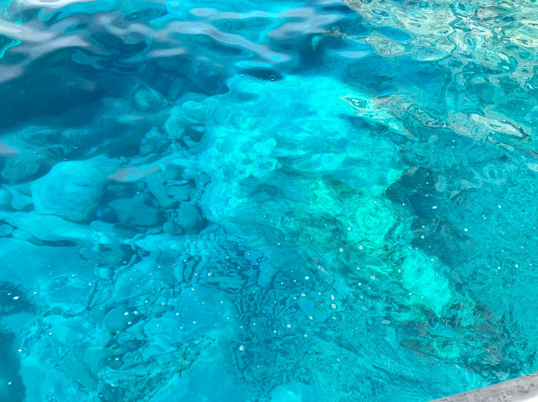 Mario's Cruises Zakynthos-瓦西里科斯必去景点