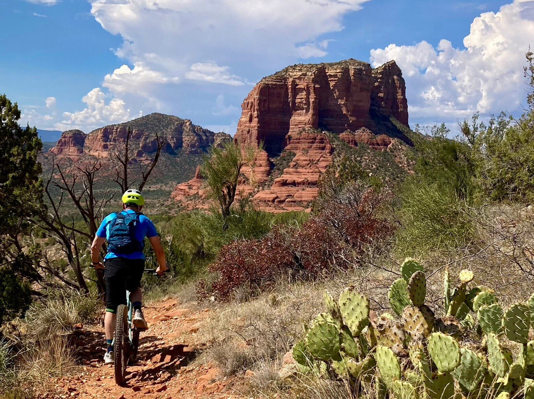 Absolute Bikes-Village of Oak Creek必去景点