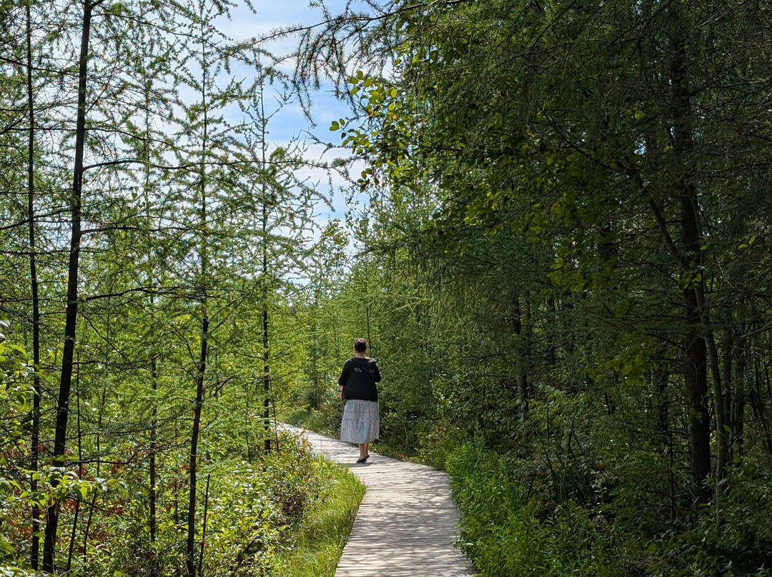 Mer Bleue Bog-渥太华必去景点