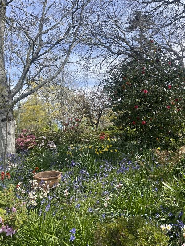 Leura Gardens Resort主图