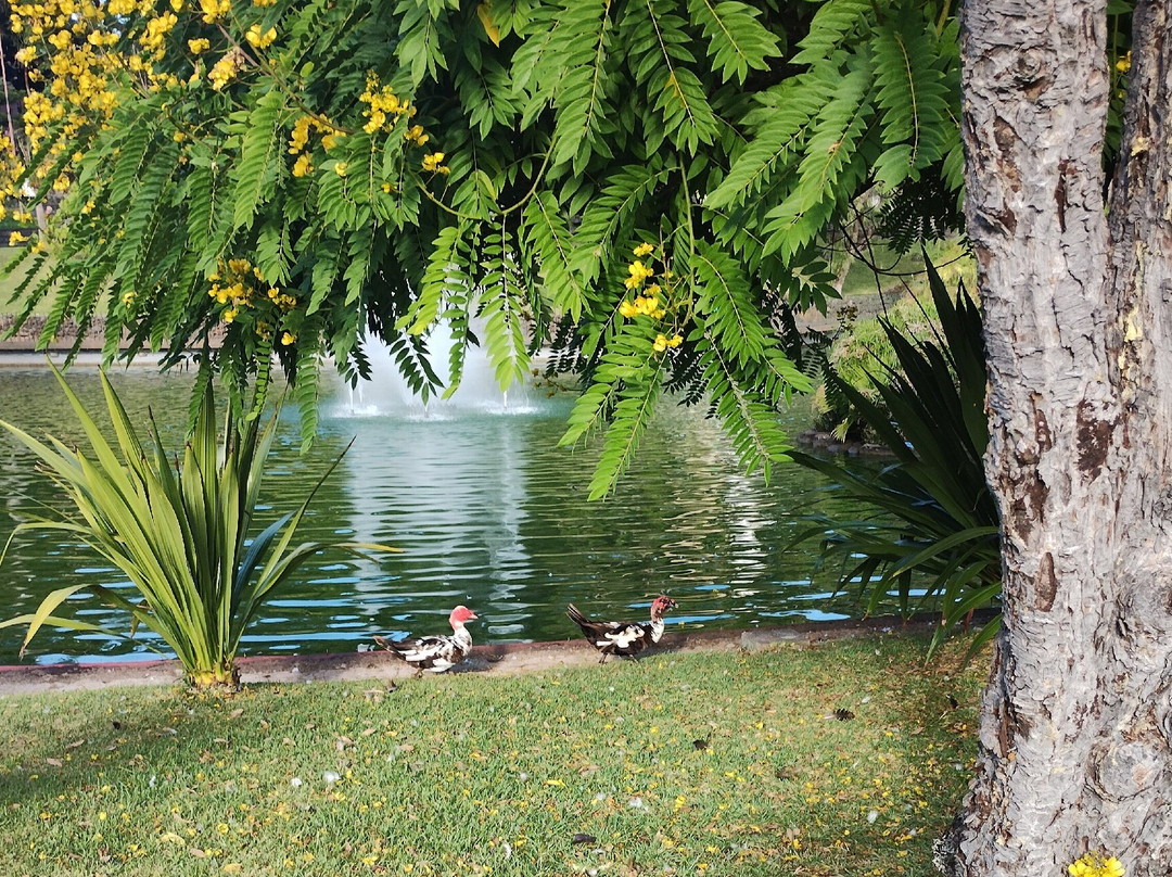 Parque de Santa Catarina-沙尔必去景点