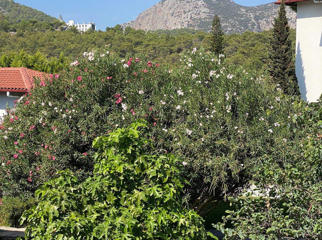 TUI BLUE Sarigerme Park主图