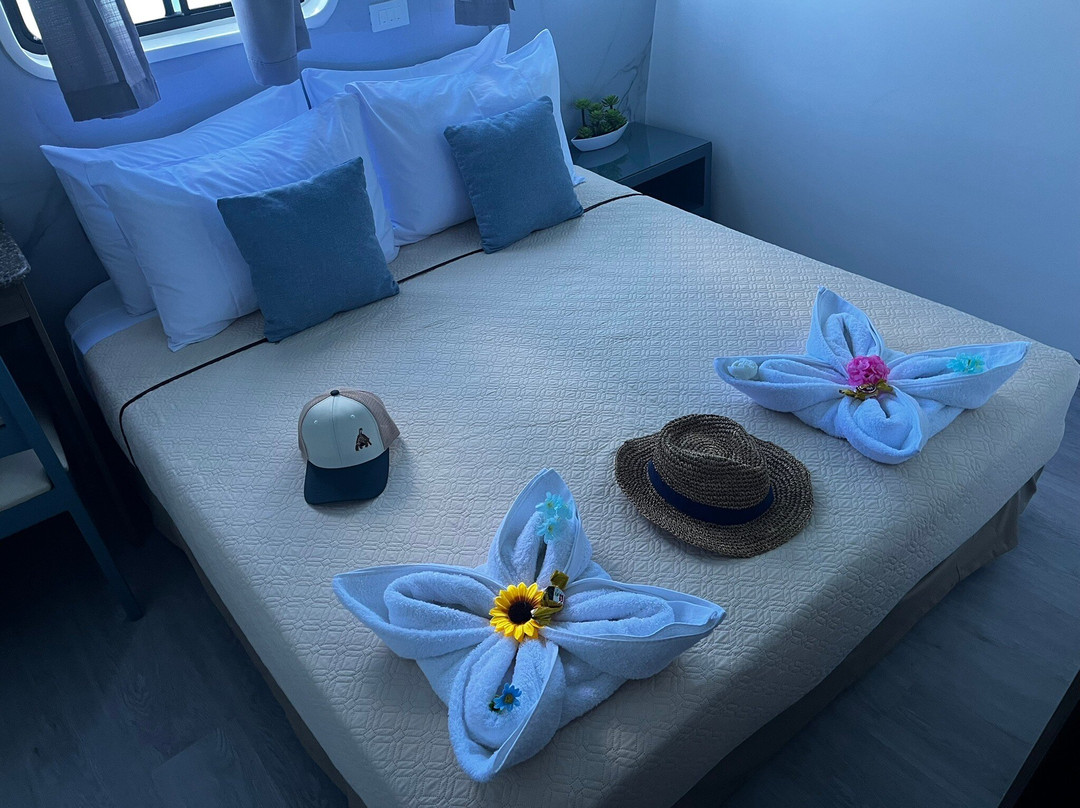 Yacht Anahi-阿约拉港必去景点