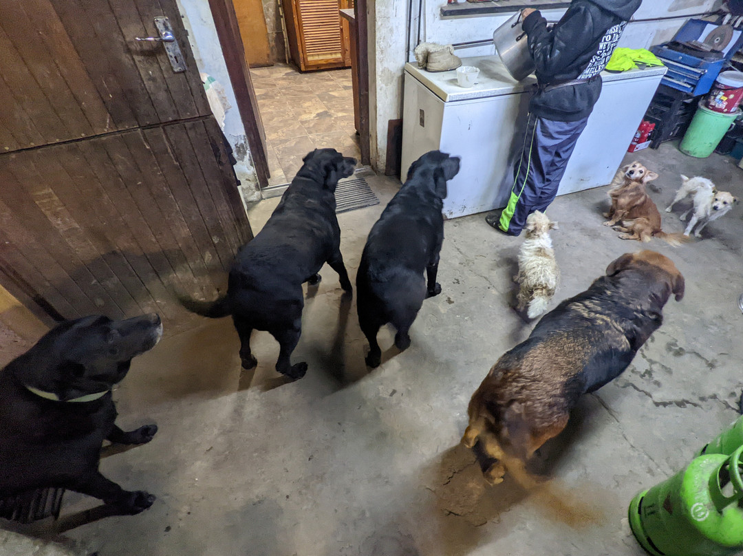 Cintsa Horses-Chintsa West必去景点