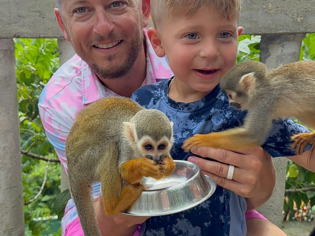 Monkeyland-Higuey必去景点