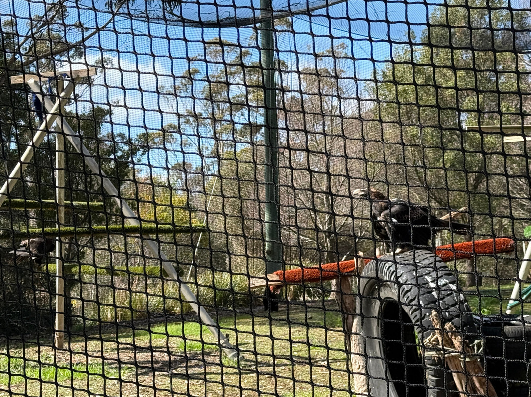 Raptor Refuge-Kettering必去景点
