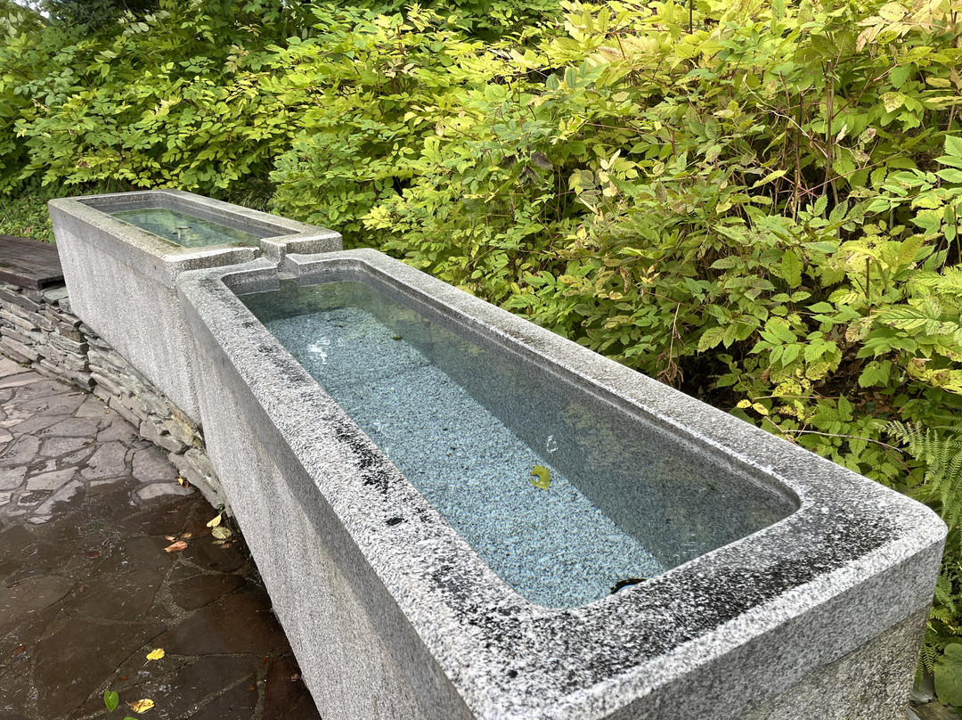 Priessnitz Spa Resort-耶塞尼克必去景点