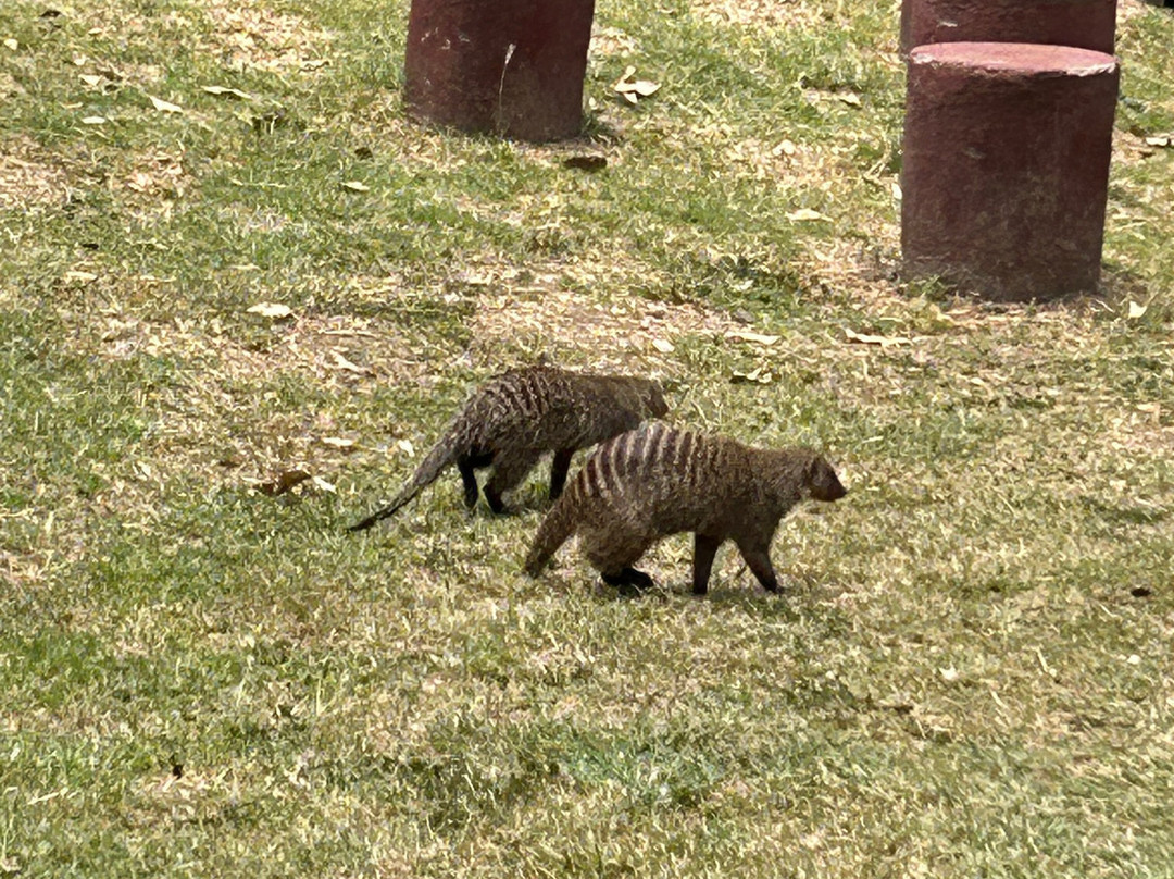 Talek Bush Camp Masai Mara主图