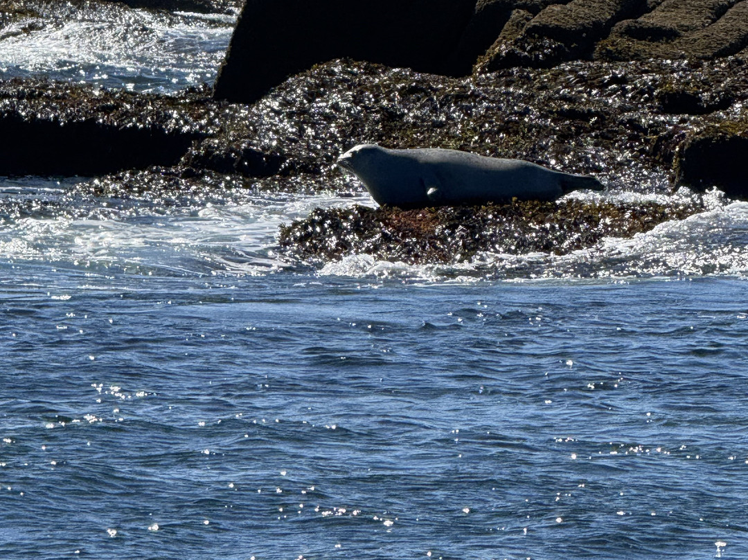Island Cruises-Bass Harbor必去景点