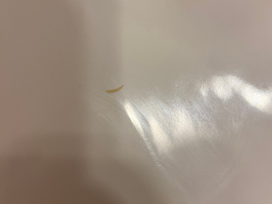 Ariana Apartments主图