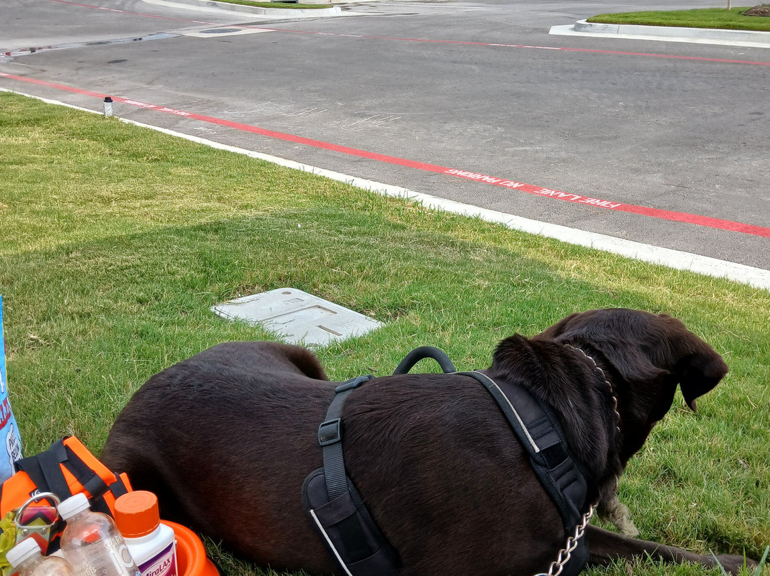 Cobblestone Inn and Suites - Ashland主图