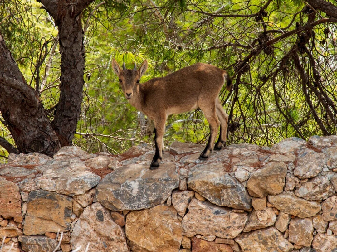Andalucia On Foot-Comares必去景点