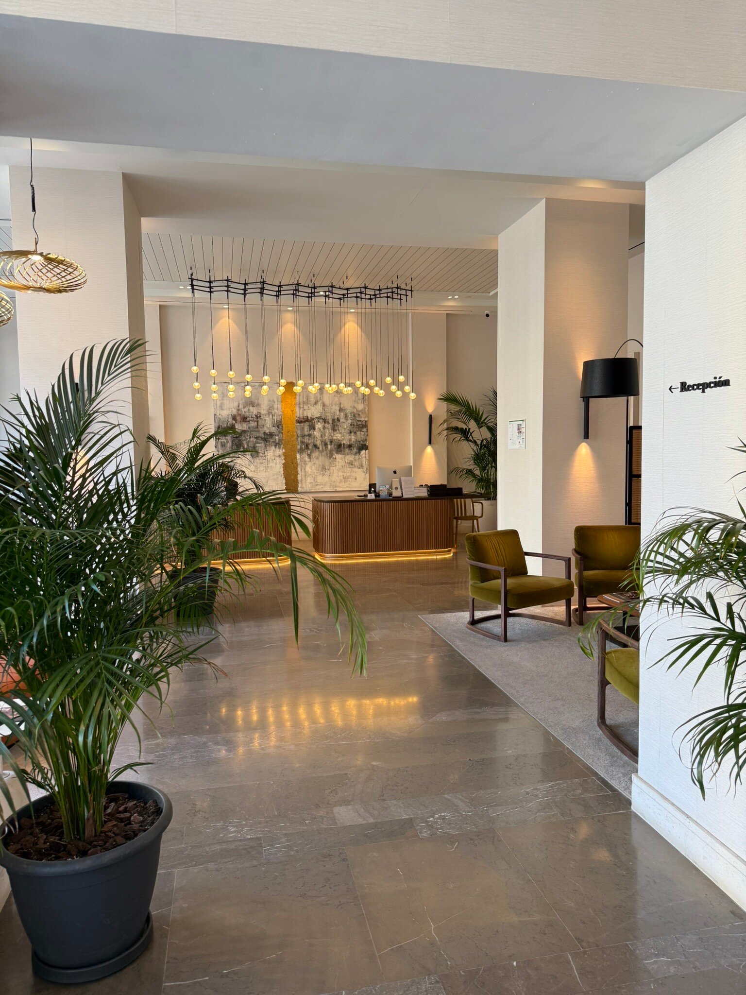 Soho Boutique Equitativa-官方