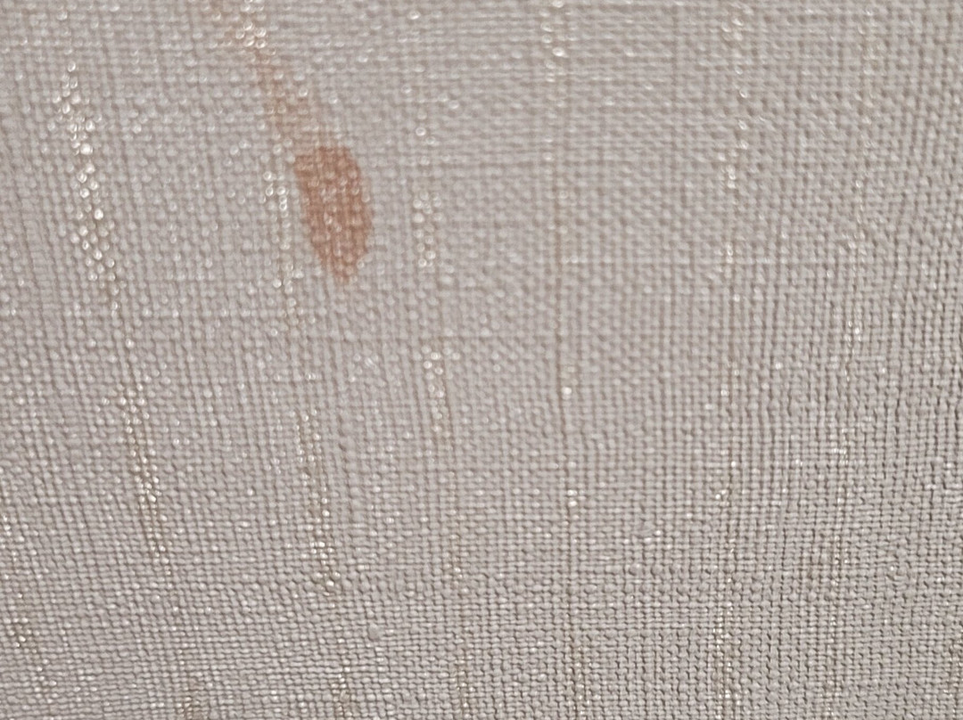 Comfort Inn Kenora主图