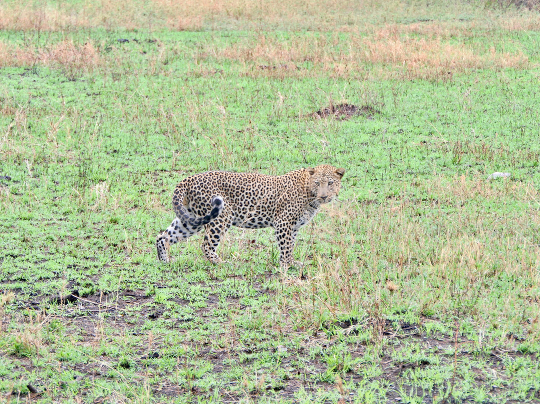 Usaka African Adventures-阿鲁沙必去景点
